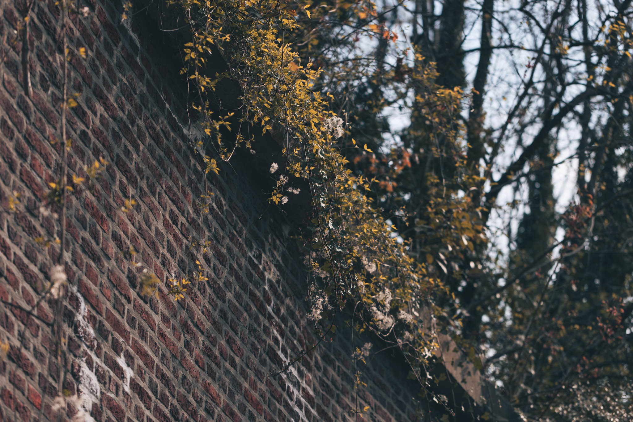 Header image
